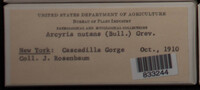 Image Associated With the Occurence